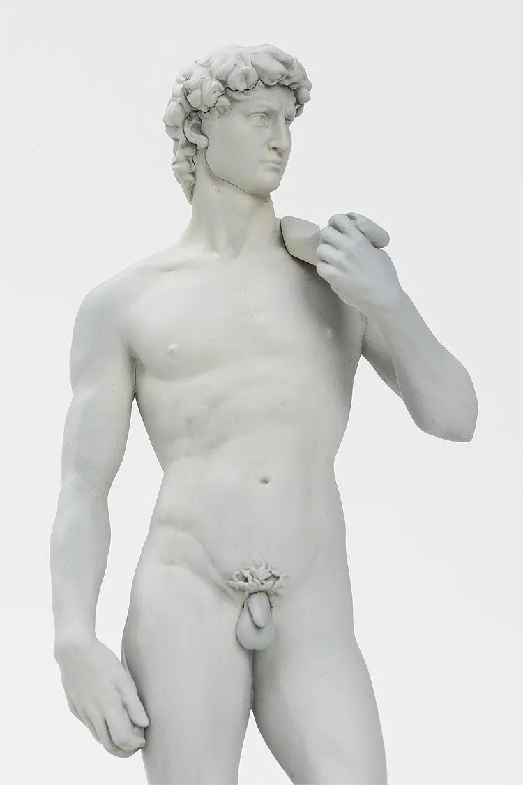 [Pre-order] Original Character - David Plastic Model Kit StudioSYUTO