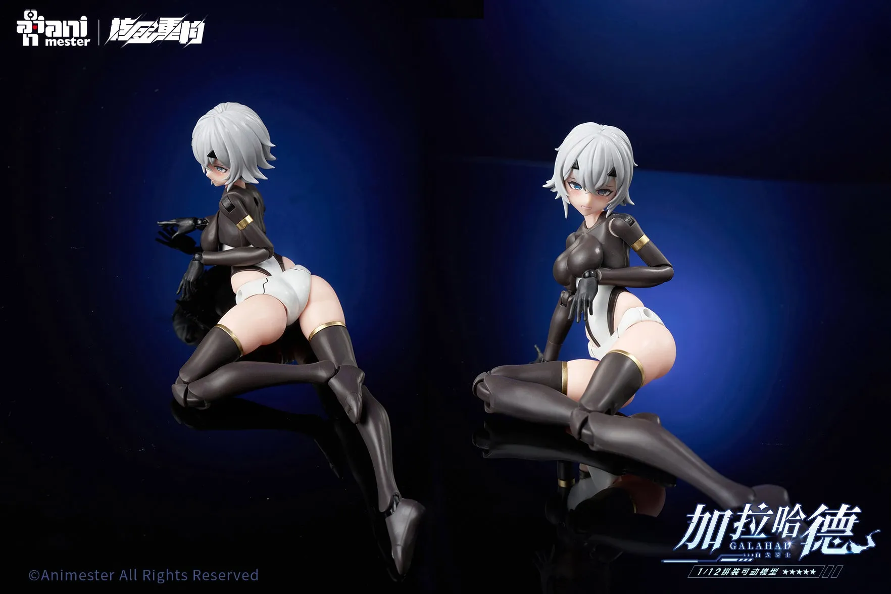 [Pre-order] Original Character - White Dragon Knight Galahad 1/12 Scale Plastic Model Kit AniMester