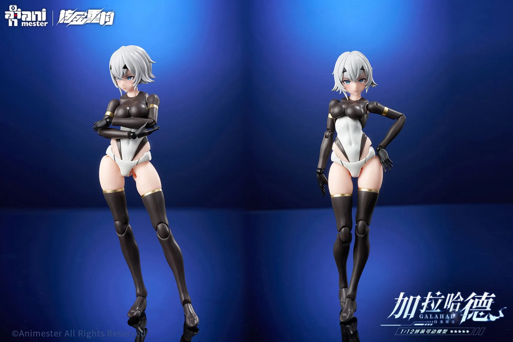 [Pre-order] Original Character - White Dragon Knight Galahad 1/12 Scale Plastic Model Kit AniMester